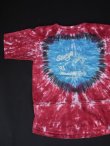 画像6: 90s HARLEYDAVIDSON STURGIS '96 BLACK HILLS RALLY SOUTH DAKOTA OFFICIAL VTG T-SHIRT TIE DYE SM