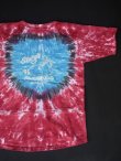 画像7: 90s HARLEYDAVIDSON STURGIS '96 BLACK HILLS RALLY SOUTH DAKOTA OFFICIAL VTG T-SHIRT TIE DYE SM