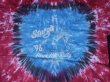 画像8: 90s HARLEYDAVIDSON STURGIS '96 BLACK HILLS RALLY SOUTH DAKOTA OFFICIAL VTG T-SHIRT TIE DYE SM