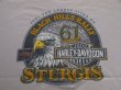 画像3: HARLEY DAVIDSON BLACK HILLS RALLY STURGIS VTG T-SHIRT BEIGE XXL