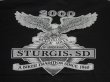 画像3: BLACK HILLS STURGIS,SD VTG T-SHIRT BLACK L