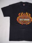 画像1: HARLEY DAVIDSON 1998 HOT SPRINGS,AR VTG T-SHIRT BLACK L