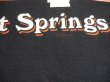 画像8: HARLEY DAVIDSON 1998 HOT SPRINGS,AR VTG T-SHIRT BLACK L