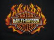 画像3: HARLEY DAVIDSON 1998 HOT SPRINGS,AR VTG T-SHIRT BLACK L