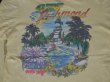 画像3: PETE SMITH'S SURF SHOP VTG LONG SLEEVE POCKET T-SHIRT YELLOW L