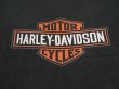 画像6: 1998 HARLEY DAVIDSON NIAGARA FALLS NEW YORK OFFICIAL VTG T-SHIRT BLACK L 