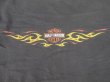 画像3: HARLEY DAVIDSON THUNDER MOUNTAIN OFFICIAL VTG T-SHIRT BLACK XXL