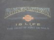 画像6: HARLEY DAVIDSON HARLEY DAVIDSON IS LIFE OFFICIAL VTG T-SHIRT BLACK XL 