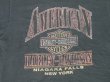 画像3: 1998 HARLEY DAVIDSON NIAGARA FALLS NEW YORK OFFICIAL VTG T-SHIRT BLACK L 