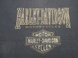 画像3: 1995 HARLEY DAVIDSON MILWAUKEE,WISCONSIN USA OFFICIAL VTG T-SHIRT BLACK L  