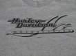 画像3: 1996 HARLEY DAVIDSON BARTELS' MARINA DEL,RAY OFFICIAL VTG T-SHIRT MARBLED GRAY XXL