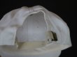 画像3: SPERRY-SUN VTG CAP WHITE