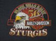 画像3: 1996 HARLEY DAVIDSON STURGIS BLACK HILLS RALLY OFFICIAL VTG T-SHIRT BLACK XL MADE IN USA