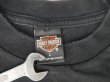 画像8: 1998 HARLEY DAVIDSON H-D OF LONG BRANCH NEW JERSEY OFFICIAL T-SHIRT BLACK L MADE IN USA