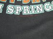 画像10: 1991 HARLEY DAVIDSON PALM SPRINGS OFFICIAL VTG T-SHIRT BLACK L 