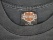 画像4: 90s HARLEY DAVIDSON LEGENDS LIVE WHERE LEGENDS ROAM OFFICIAL VTG T-SHIRT BLACK L