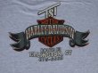 画像8: 1987 HARLEY DAVIDSON OFFICIAL VTG HOODED T-SHIRT T-SHIRT GRAY L