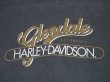 画像6: HARLEY DAVIDSON AMERICAN BY BIRTH RIDER BY CHOICE OFFICIAL VTG T-SHIRT BLACK XL