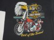 画像3: HARLEY DAVIDSON BEST OF THE BREED OFFICIAL VTG T-SHIRT BLACK XL 