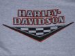 画像3: 1987 HARLEY DAVIDSON OFFICIAL VTG HOODED T-SHIRT T-SHIRT GRAY L