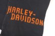 画像3: HARLEY DAVIDSON OFFICIAL VTG SCARF 