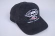 画像2: HARLEY DAVIDSON ROCKY MOUNTAIN SKULL VTG CAP BLACK