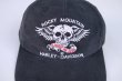 画像3: HARLEY DAVIDSON ROCKY MOUNTAIN SKULL VTG CAP BLACK