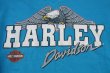 画像3: 1990 HARLEY DAVIDSON OFFICIAL VTG SWEATSHIRT TURQUOISE BLUE L