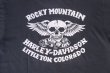 画像3: 1982 HARLEY DAVIDSON ROCKY MOUNTAIN SKULL VTG T-SHIRT BLACK L