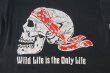 画像3: SUPERIOR MOTORCYCLE PARTS WILD LIFE IS THE ONLY LIFE VTG T-SHIRT BLACK S