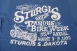 画像7: 1992 STURGIS MOTORCYCLE RALLY&RACES VTG T-SHIRT BLUE S