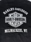 画像8: HARLEY DAVIDSON EAGLE FLAMES VTG HENLEY NECKLINE LONG SLEEVE T-SHIRT FADED BLACK M