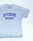 画像1: SAN FRANCISCO STATE  UNIVERSITY CHAMPION T-SHIRT GRAY XL