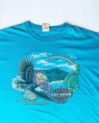 画像3: HARLEY DAVIDSON A RIDE IN PARADISE OFFICIAL VTG T-SHIRT SAXE BLUE 