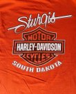 画像3: HARLEY DAVIDSON STURGIS SOUTH DAKOTA VTG T-SHIRT ORANGE M