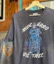 画像2: 80s HARLEY DAVIDSON RIDE HARD DIE FREE VTG T-SHIRT L