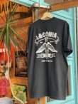 画像2: 1986 HARLEY DAVIDSON LACONIA VTG T-SHIRT BLACK XL