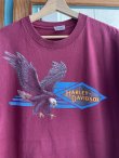 画像4: 1991 HARLEY DAVIDSON PARM SPRINGS VTG T-SHIRT WINE RED XL