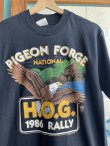 画像4: 1986 HARLEY DAVIDSON PIGEON FORGE VTG T-SHIRT BLACK M