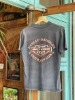 画像2: 1984 HARLEY DAVIDSON ANNUAL RALLY  VTG T-SHIRT BLACK M