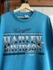 画像4: 1991 HARLEY DAVIDSON RIDE THE STRIP ROLL THE BONES OFFICIAL VTG T-SHIRT TURQUOISE BLUE  XXL