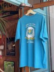 画像2: 1991 HARLEY DAVIDSON RIDE THE STRIP ROLL THE BONES OFFICIAL VTG T-SHIRT TURQUOISE BLUE  XXL