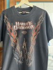 画像4: 1999 HARLEY DAVIDSON EAST COAST HARLEY OFFICIAL VTG T-SHIRT BLACK L