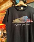 画像3: 80s HARLEY DAVIDSON“THE LEGEND TAKES WING”VTG T-SHIRT L