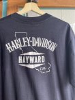 画像5: 80s HARLEY DAVIDSON HAYWARD VTG T-SHIRT BLACK XL