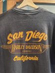 画像5: 80s HARLEY DAVIDSON OAK LEAF PUT YOUR ASS ON SOME CLASS SAN DIEGO OFFICIAL VTG T-SHIRT BLACK L