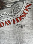 画像4: 1991 HARLEY DAVIDSON EAGLE OFFICIAL VTG T-SHIRT LIGHT GRAY 