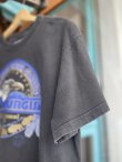 画像6: 1995  BLACK HILLS MOTOR CLASSIC STURGIS VTG T-SHIRT BLACK L (2)