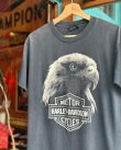 画像4: 1993 HARLEY DAVIDSON TWIN CITIES EAGLE HEAD T-SHIRT M