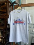 画像1: 1997 BUDWEISER CLYDESDALES T-SHIRT M